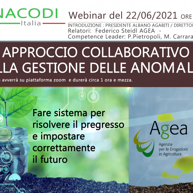 Webinar - un approccio collaborativo nella gestione delle anomalie