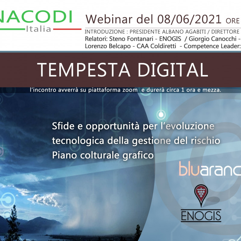 Webinar - la tempesta digitale