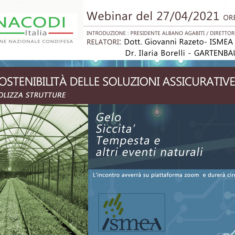 Webinar - La polizza strutture