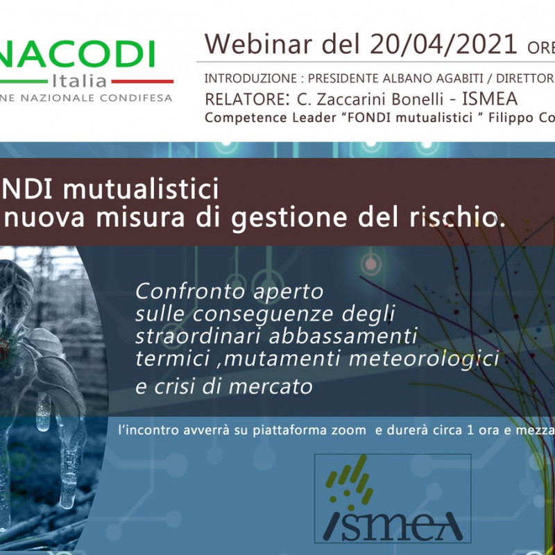 Webinar - Fondi Mutualistici