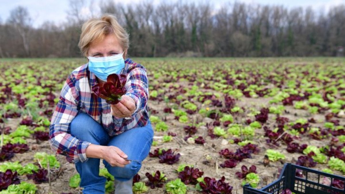 Agrovscovid 19: un innovativo fondo mutualistico di asnacodi italia