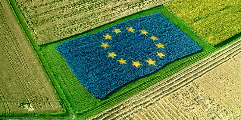 Corte dei conti europea - relazione misure ue per la stabilizzazione del reddito degli agricoltori