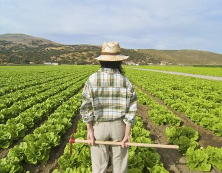 Coronavirus - agricoltura in prima linea