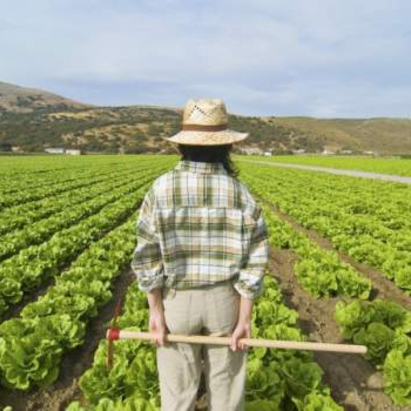 Coronavirus - agricoltura in prima linea