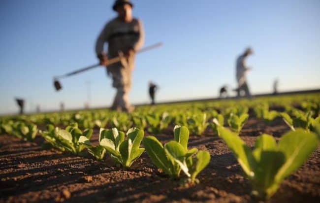 PSRN: Seminiamo il futuro delle zone rurali