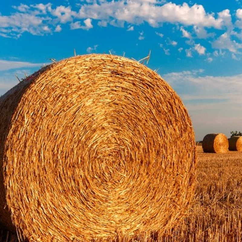 2019 - Anno record assicurazioni