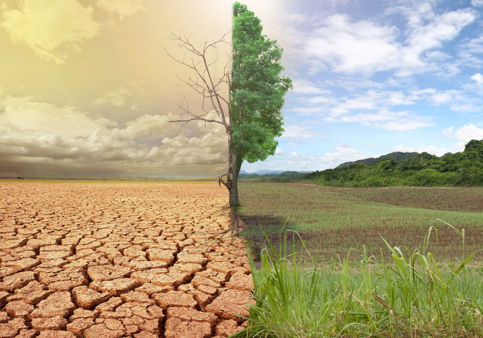Agricoltura e sostenibilità al tempo dei cambiamenti sociali, tecnologici e climatici