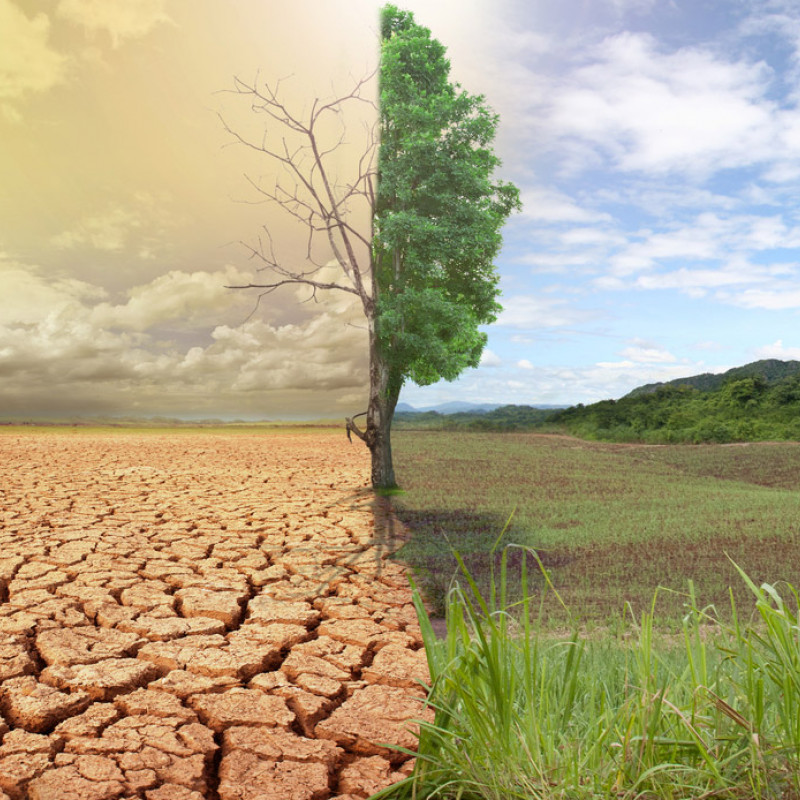 Agricoltura e sostenibilità al tempo dei cambiamenti sociali, tecnologici e climatici