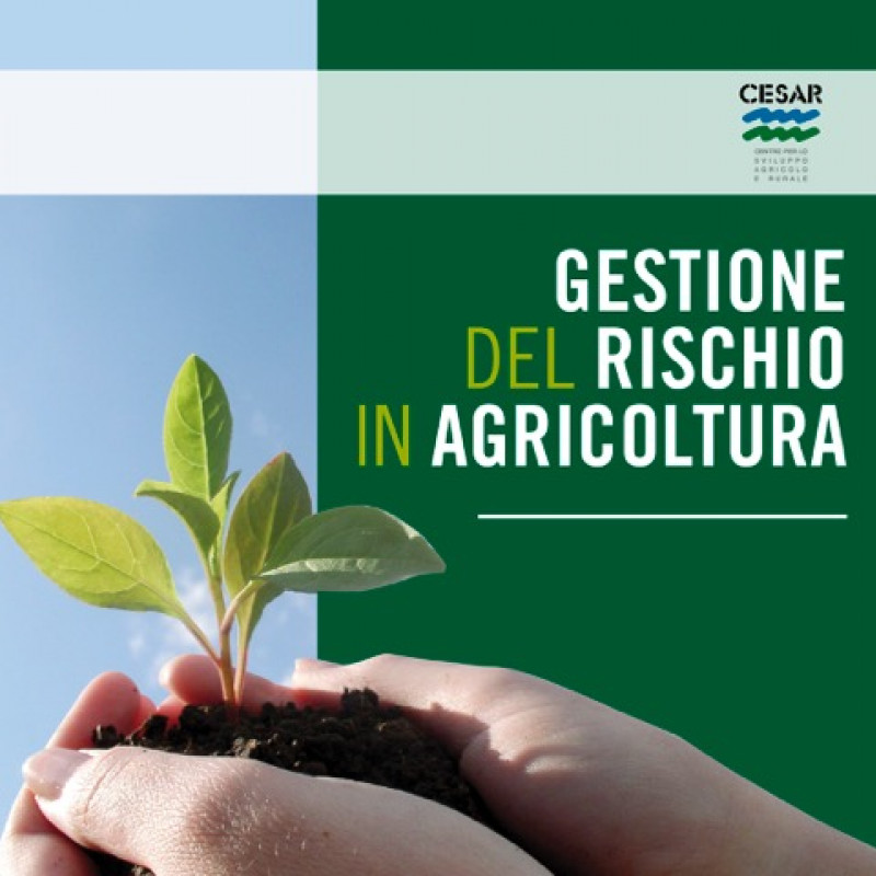 XII convegno nazionale gestione del rischio in agricoltura