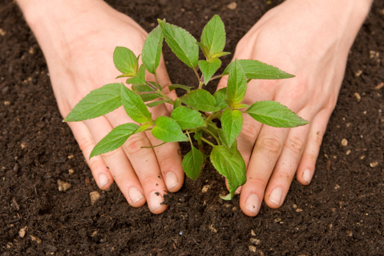 Agrialp e festival meteorologia