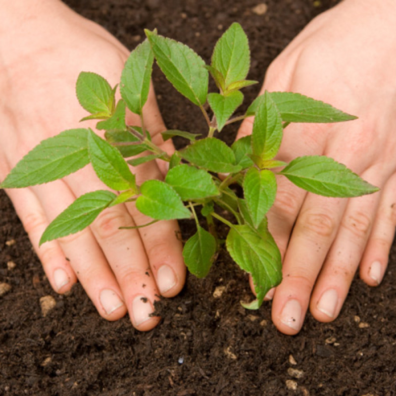 Agrialp e festival meteorologia