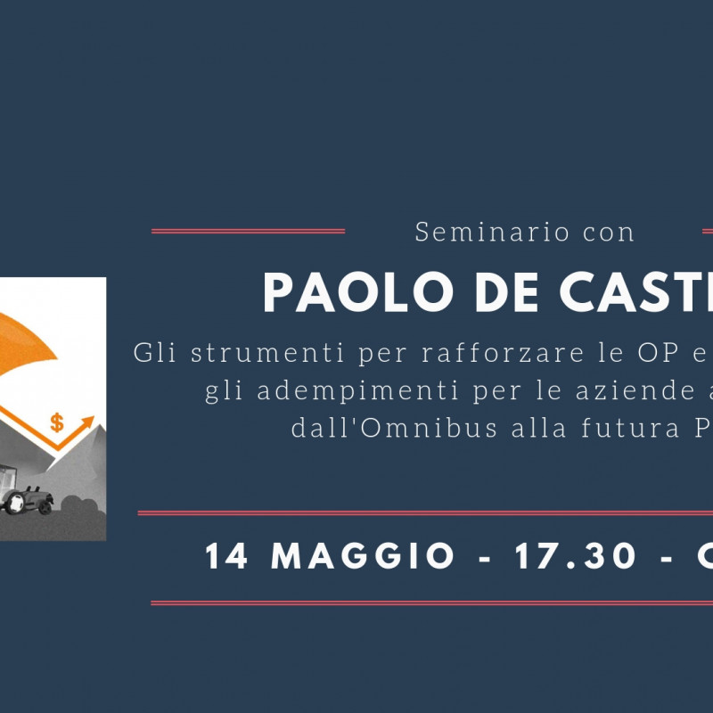 Seminario di confronto con paolo de castro - 14 maggio