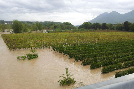 Maltempo, coldiretti: stato di calamità per l'agricoltura