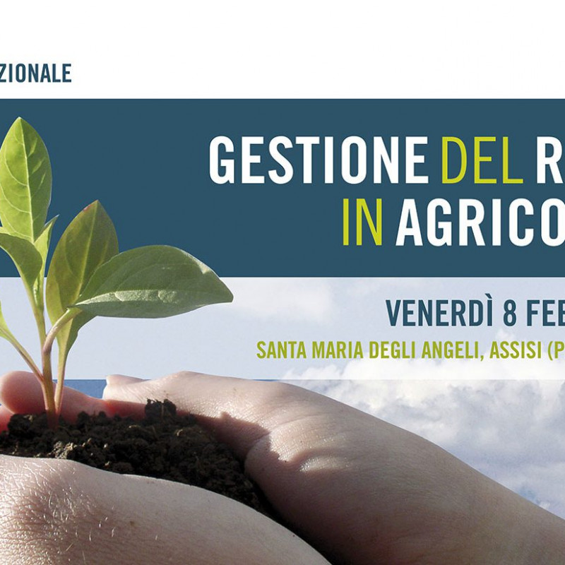 Convegno assisi 8 febbraio - video, intervista e relazioni