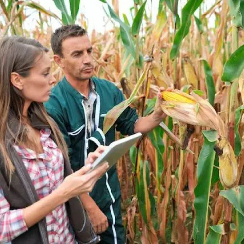 29 novembre - le imprese crescono: monitoriamo i fornitori