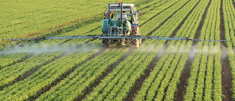 Agricoltura conservativa: dalla teoria alla pratica