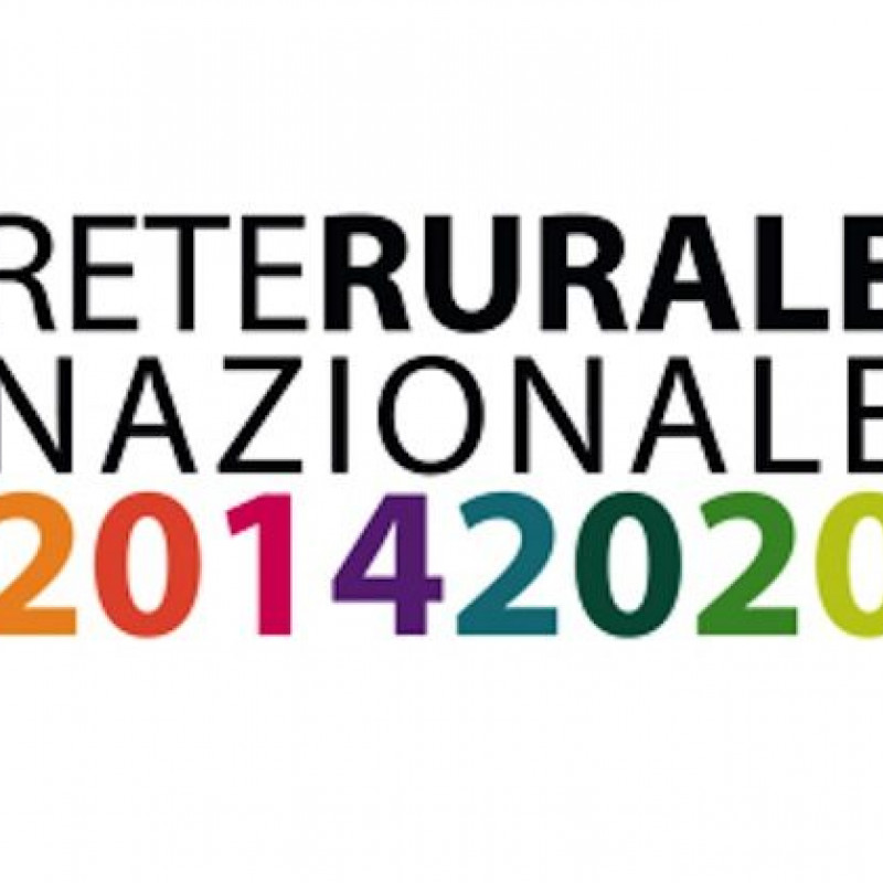 Programma sviluppo rurale nazionale (psrn 6.0)