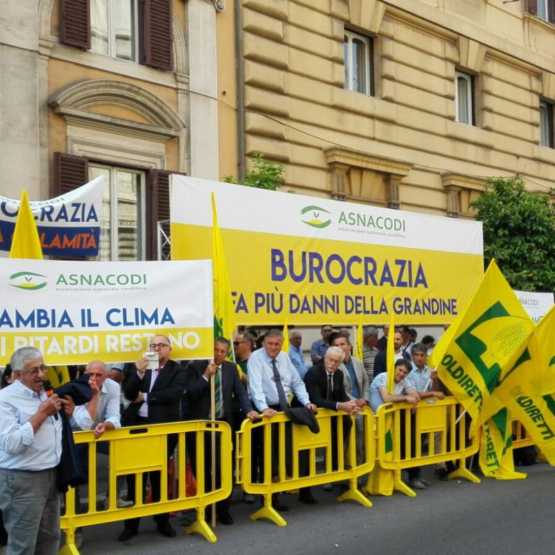 Assemblea asnacodi pubblica davanti al ministero - 30 maggio