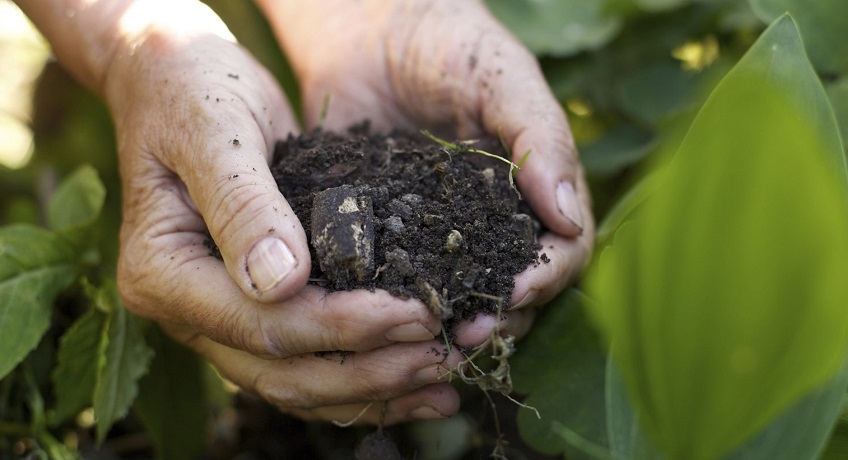 Cuneo - assicurazioni agricole, lo stato deve 25 milioni alle aziende della granda