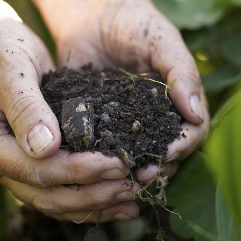 Cuneo - assicurazioni agricole, lo stato deve 25 milioni alle aziende della granda