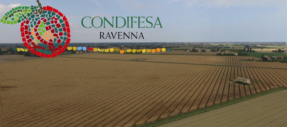 Ravenna - assemblea generale ordinaria