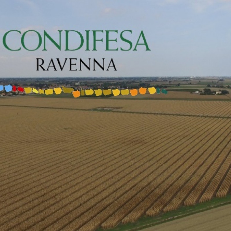 Ravenna - assemblea generale ordinaria