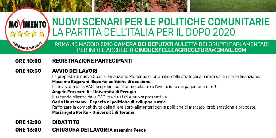 Convegno m5s: nuovi scenari per le politiche comunitarie. la partita dell'italia dopo il 2020