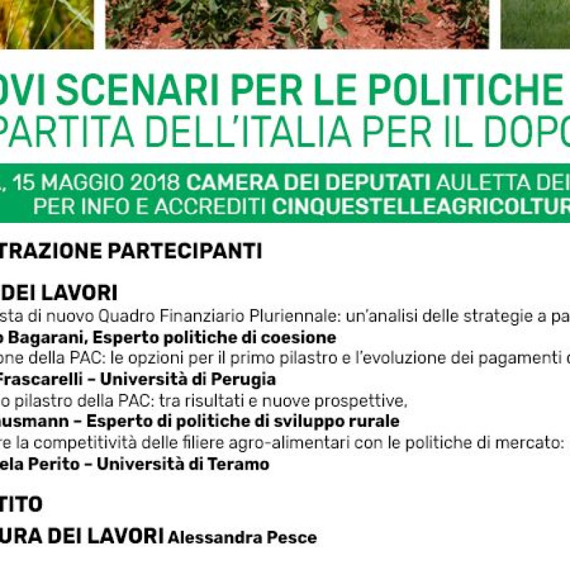 Convegno m5s: nuovi scenari per le politiche comunitarie. la partita dell'italia dopo il 2020