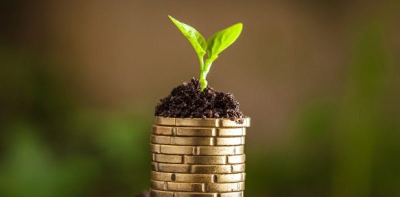 2° lotto domande sostegno 2016 - comunicazione agea 2° lotto domande sostegno 2016 - comunicazione agea