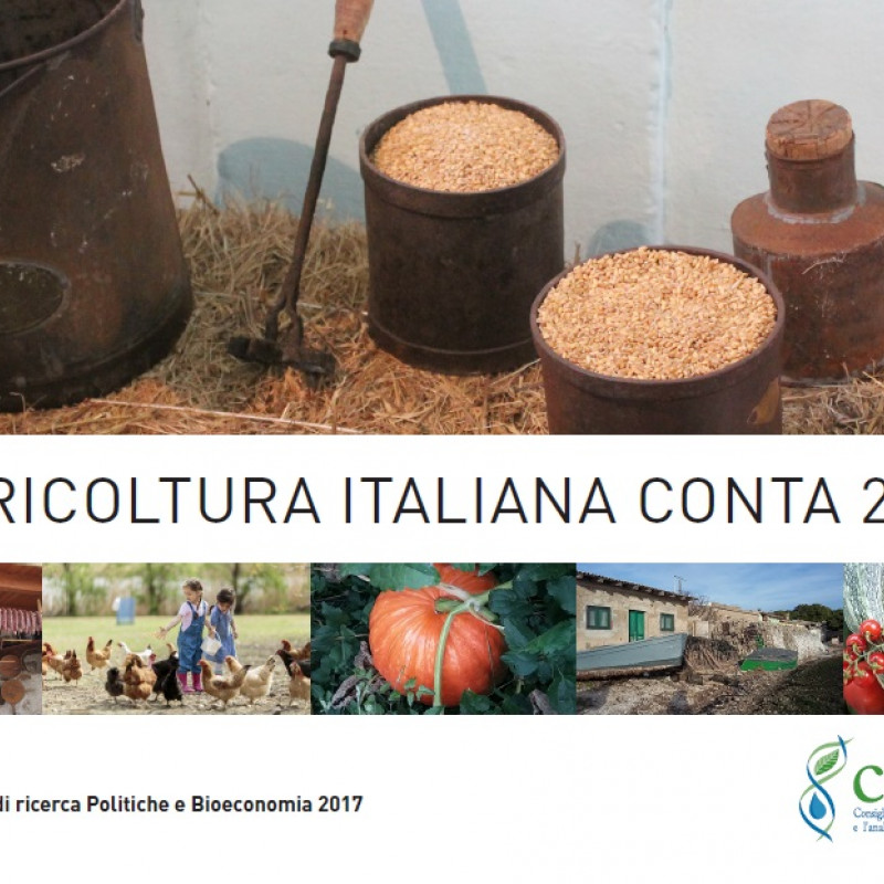 L’agricoltura italiana conta 2017