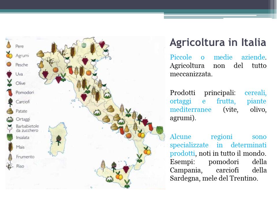 Report l'agricoltura italiana conta 2016