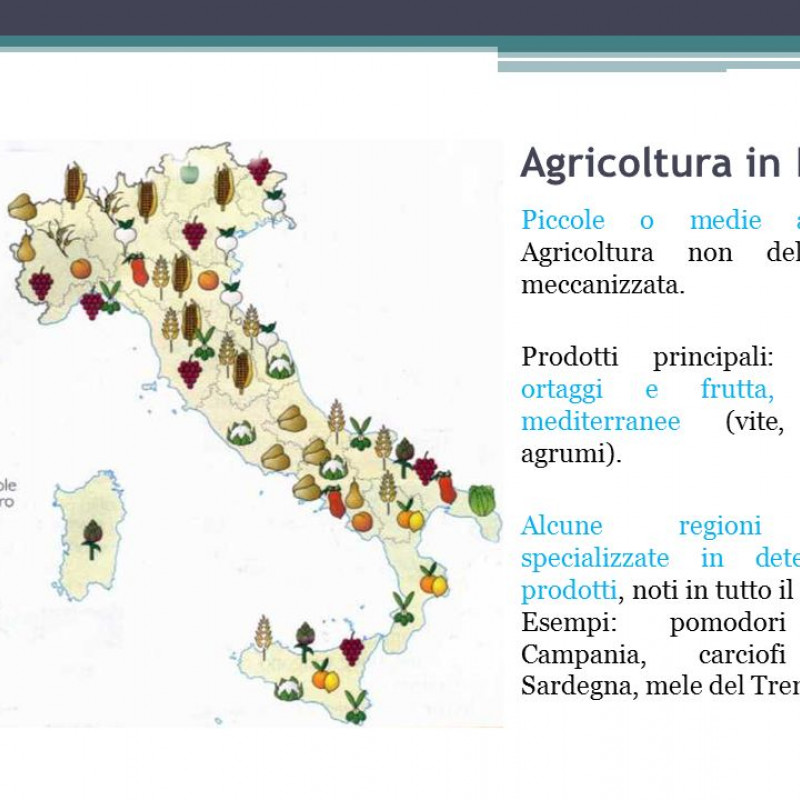 Report l'agricoltura italiana conta 2016