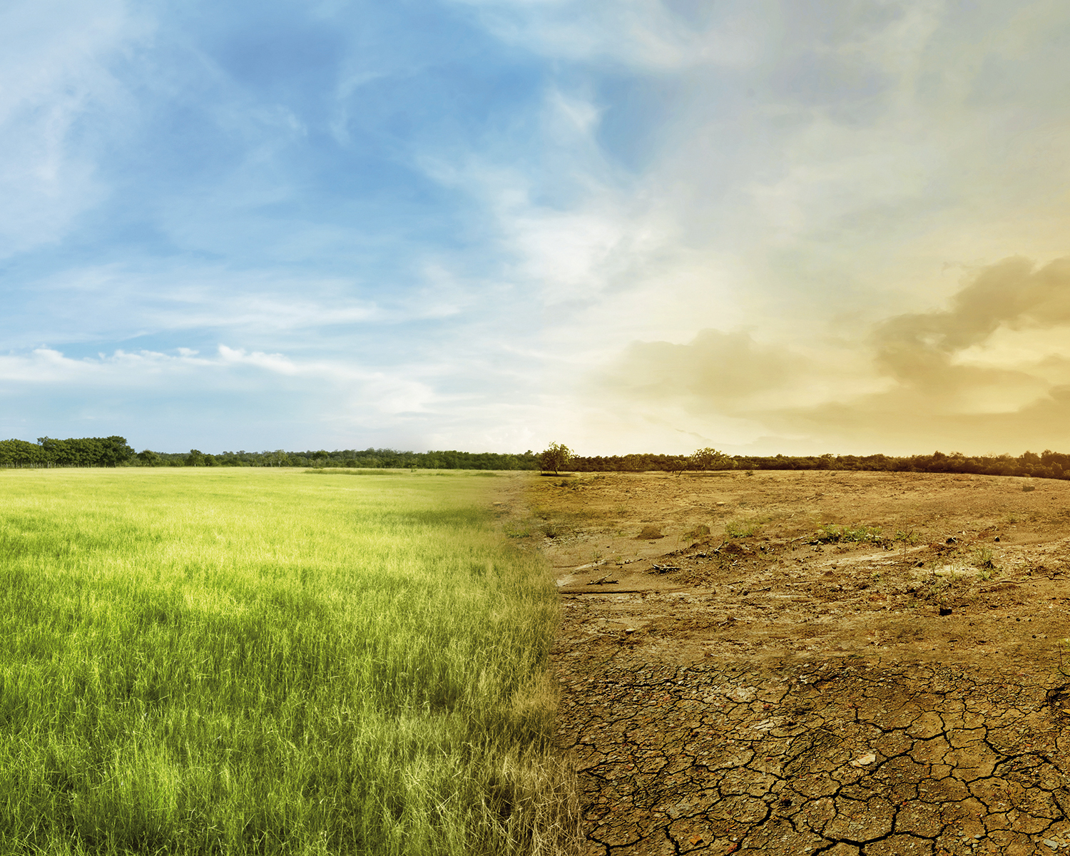 Clima: nel futuro reddito aziende agricole fino a -13%