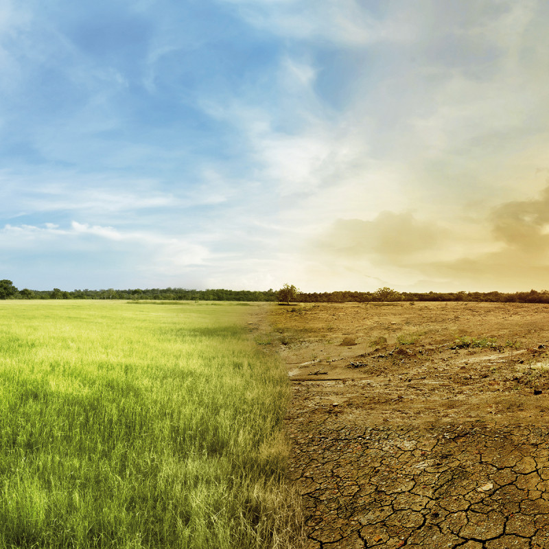 Clima: nel futuro reddito aziende agricole fino a -13%