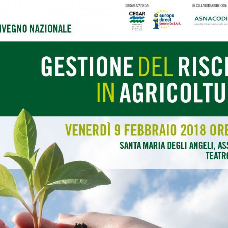 9 febbraio - convegno nazionale gestione del rischio in agricoltura