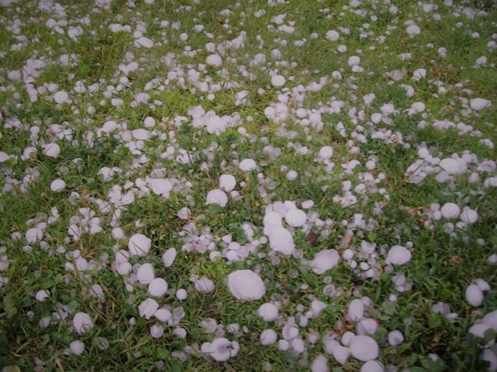 Maltempo: grandine distrugge raccolti, si stimano milioni di danni