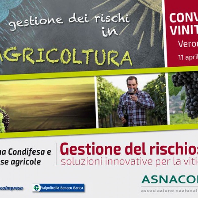 Vinitaly, verone 11 aprile - convegno "gestione del rischio: soluzioni innovative per la viticoltura