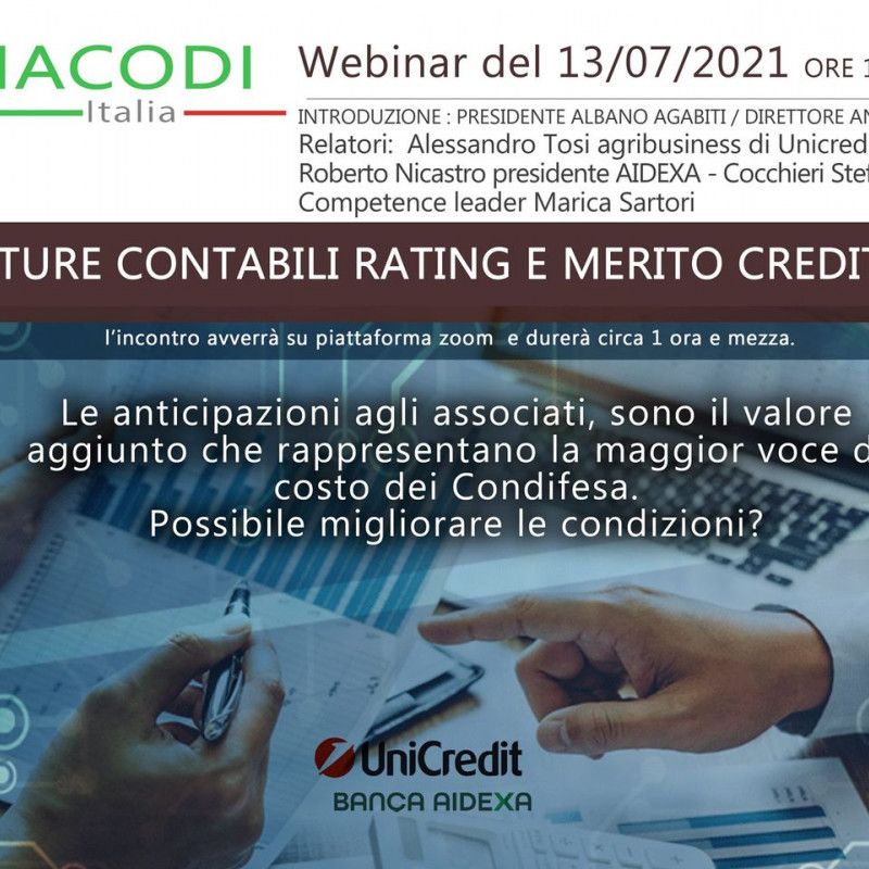 [Webinar] Scritture contabili rating e merito creditizio