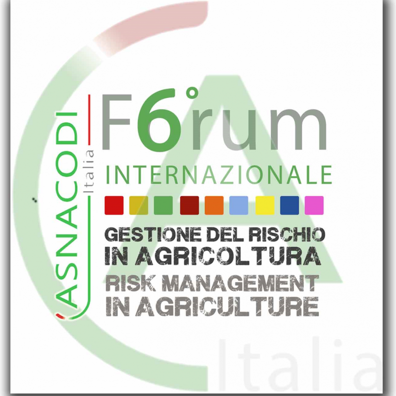 VI Forum Internazionale -  25 e 26 novembre 2021