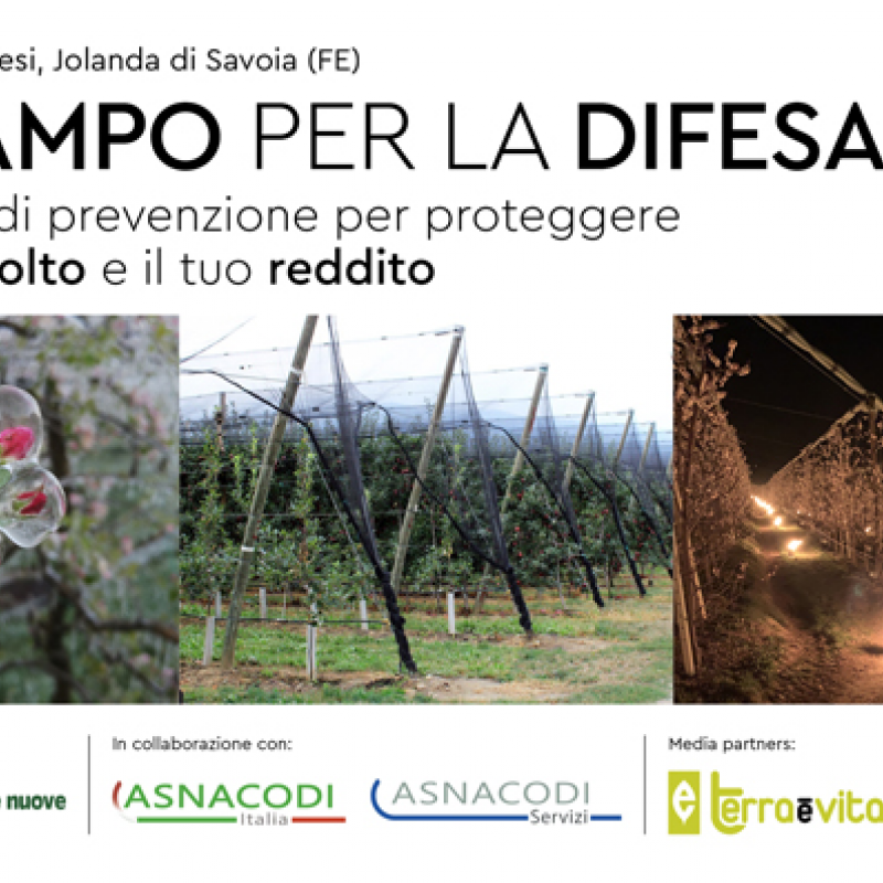 [Evento] In CAMPO PER LA DIFESA