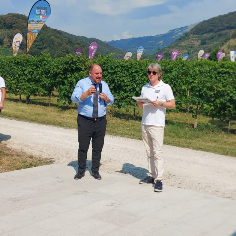 VITE IN CAMPO: “Agricoltura eroica”: 22 e 23 luglio a Col San Martino (TV)