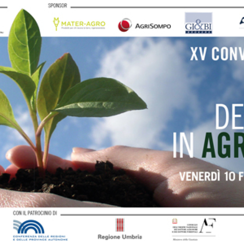 XV Convegno gestione rischio in agricoltura