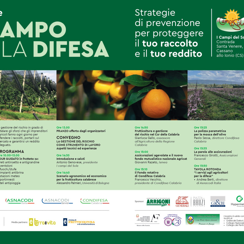 IN CAMPO  PER LA DIFESA - II EDIZIONE