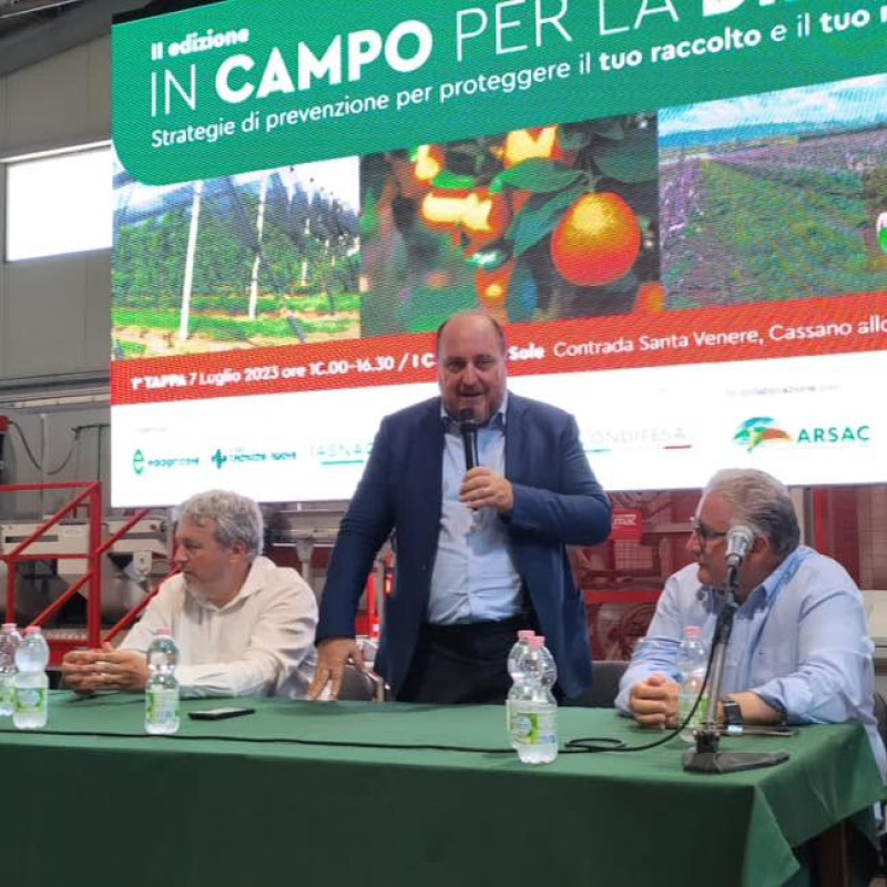 IN CAMPO PER LA DIFESA - II EDIZIONE