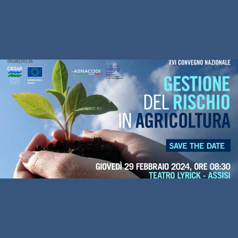 Assisi: XVI Convegno Nazionale GESTIONE DEL RISCHIO IN AGRICOLTURA