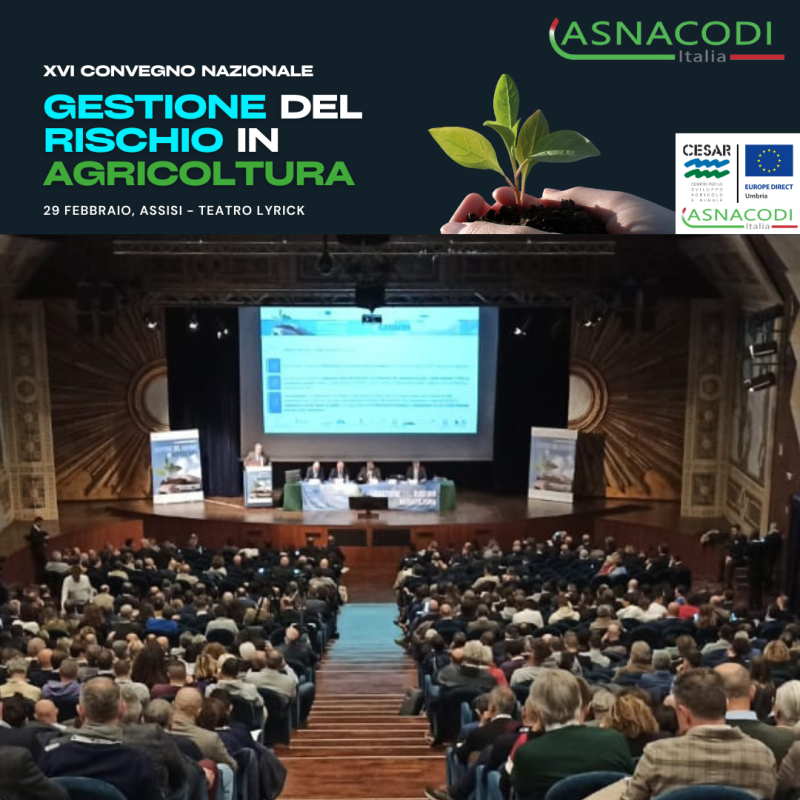 [COMUNICATO STAMPA] XVI Convegno Nazionale Gestione del Rischio in Agricoltura🌱