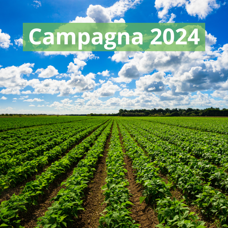 [COMUNICATO STAMPA] URGENTE APERTURA CAMPAGNA 2024