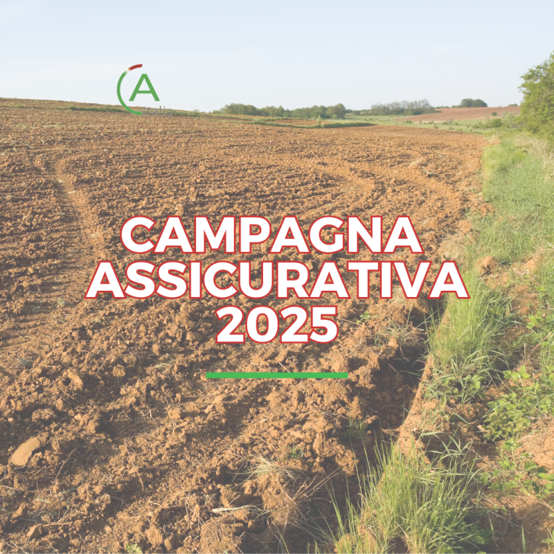 Campagna Assicurativa 2025