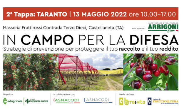 terzo-dieci.png