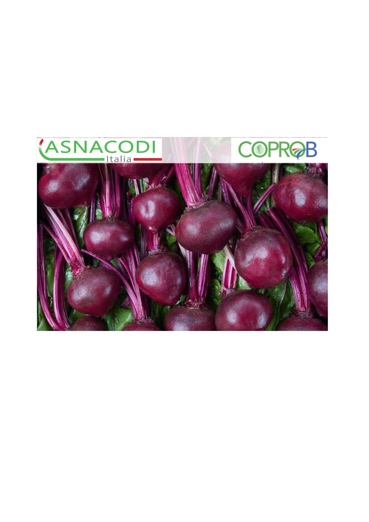 Progetto senza titolo (2)